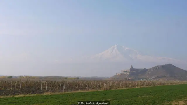 anggur armenia