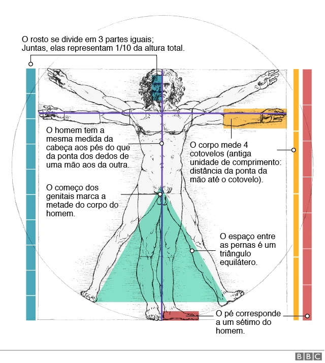 Gráfico sobre o Homemroleta hindi rouletteVitrúvio