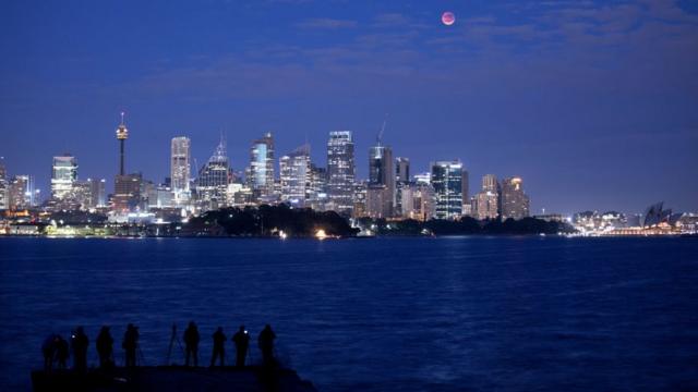 月全食在澳大利亚城市悉尼也吸引了许多天文粉丝。