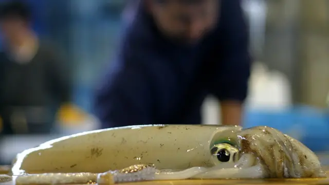 осьминог на разделочном столе