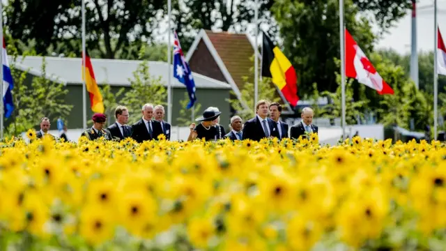 Полоса деревьев окружена подсолнухами, которые цветут в июле