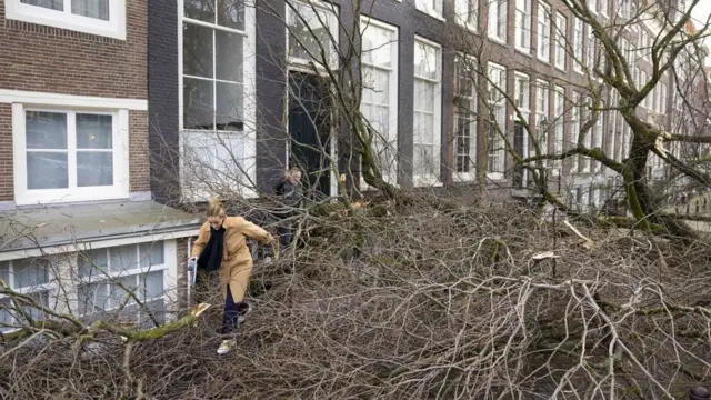 A woman steps through the branches of a fallen tree in Amsterdam