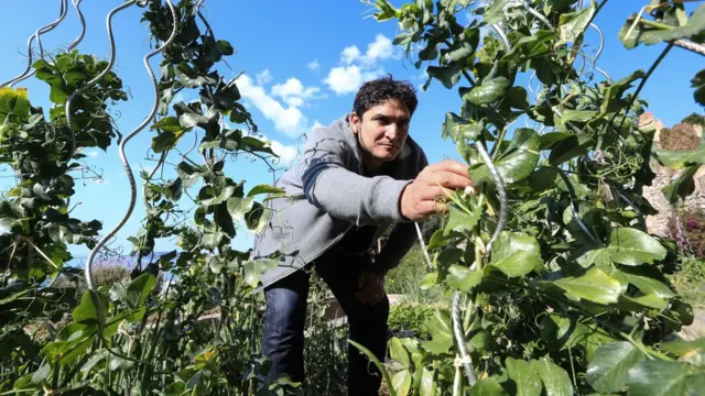 میرازور ریستوران، فرانس