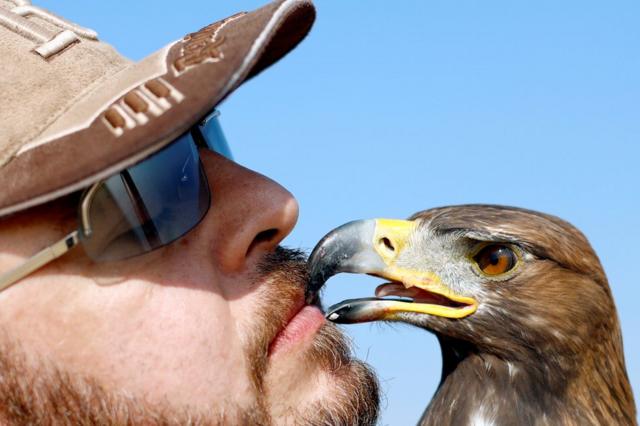 Golden Eagle Hunting. Mongolia | Planet Doc Express - YouTube