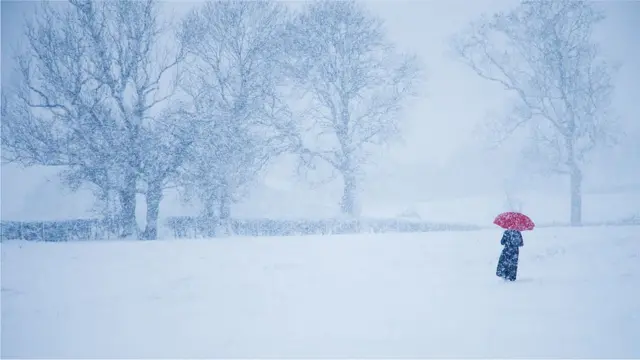 બરફના તોફાનમાં ફસાઈને અમેરિકા-કૅનેડાની સરહદે ગુજરાતીઓનાં કરુણ મૃત્યુ નીપજ્યાં?