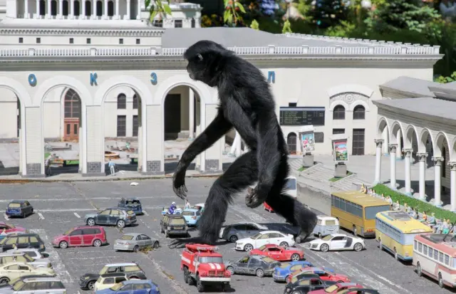 قرد من فصيلة الجيبون يخطو بخطواته داخل موقف للسيارات وسط سيارات مبعثرة في متنزه باختشيسراي للمنمنمات في شبه جزيرة القرم، والذي يضم أيضاً حديقة للحيوان.