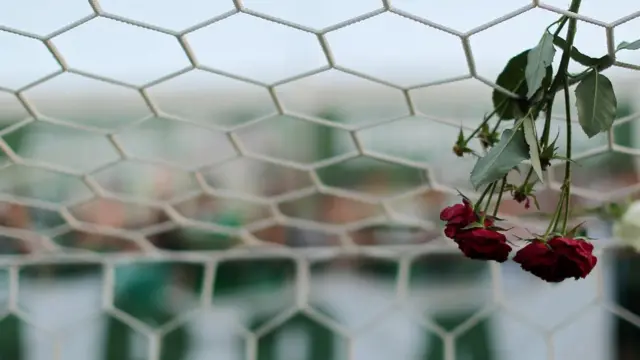 Una flor en la red de uno de los arcos en el estadio del Chapecoense