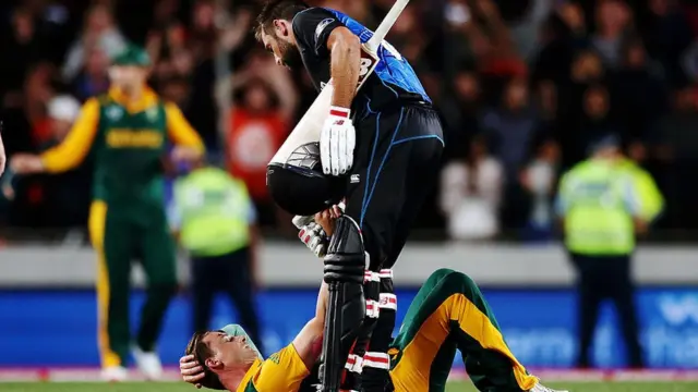 डेल स्टेन, दक्षिण आफ्रिका