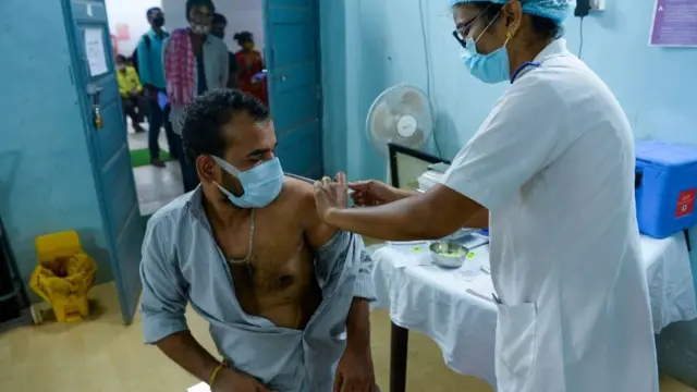 التلقيح في الهند