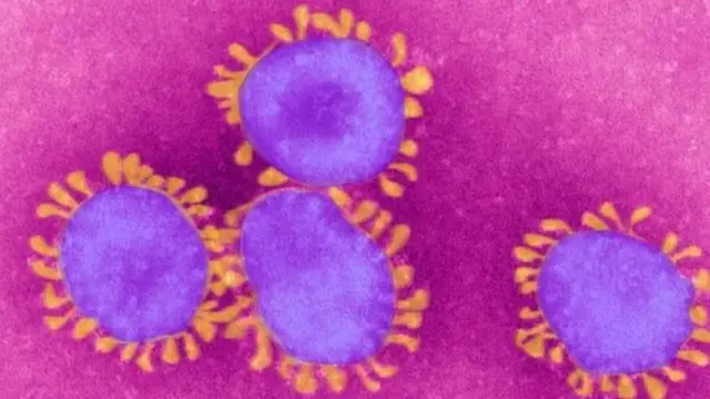 कोरोनाभाइरस