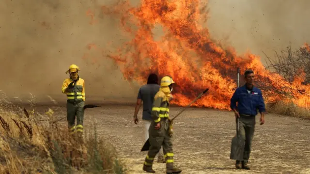 Kebakaran akibat cuaca panas di Spanyol