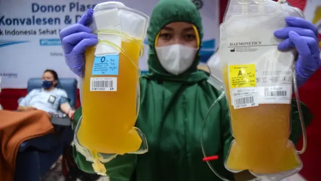 donor plasma konvalesen