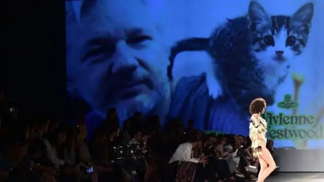 Фото Ассанжа і його кота на показі