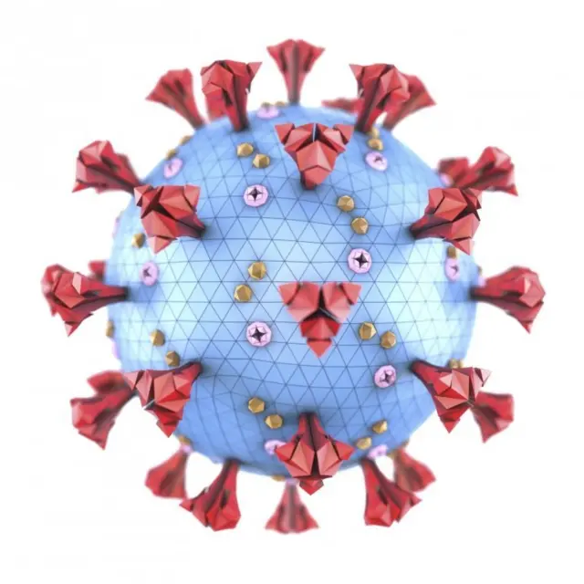 कोरोना वायरस