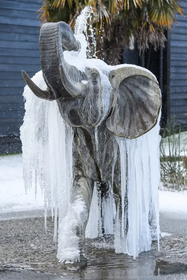 英国英格兰东部地区埃塞克斯郡的科尔切斯特