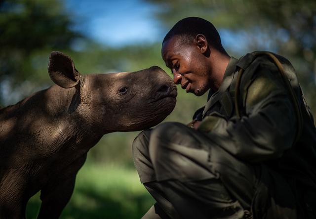 마틴 부조라는 자연 보호요원과 아기 코뿔소의 애틋한 장면을 찍었다