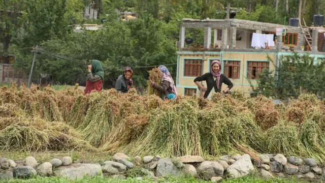 القرية التي خرج أهلها ولم يتمكنوا من العودة أبدا