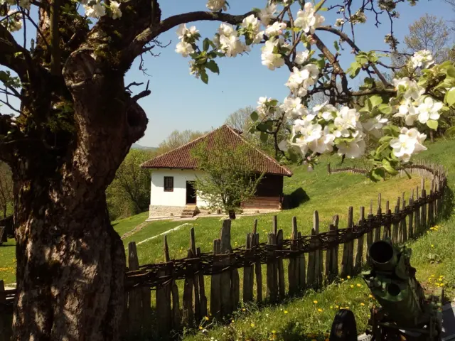 Kuća vojvode Živojina Mišića