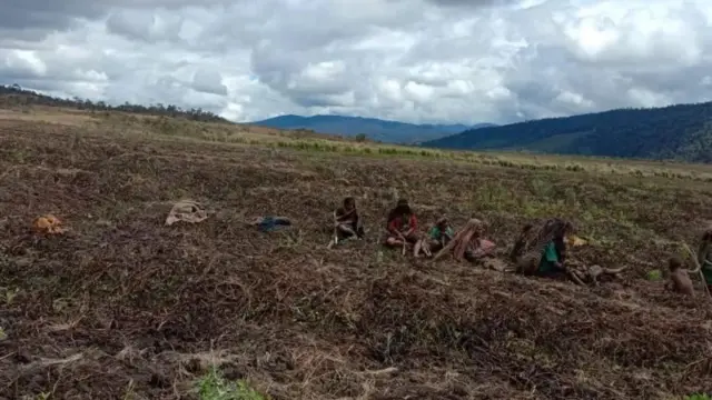 Warga Kabupaten Lanny Jaya, Papua, dipotret setelah gagal memanen hasil kebun mereka yang terserang cuaca ekstrem.
