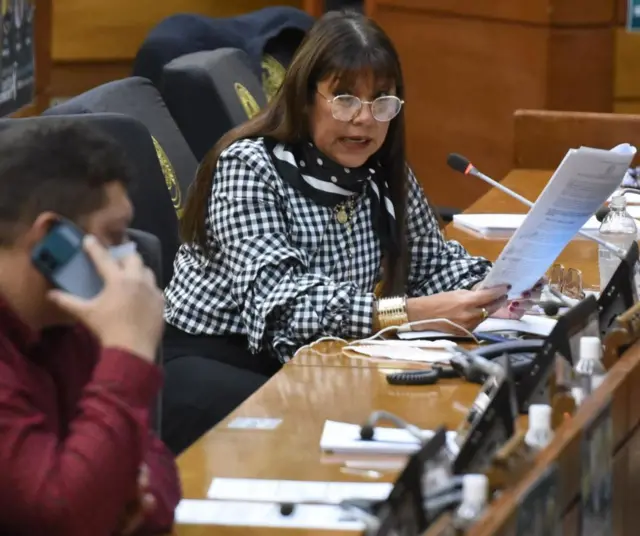 Celeste Amarilla falando quando era deputada em sessão plenária do Congresso paraguaio em março de 2021