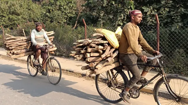 साइकलमा दाउरा ओसारिरहेका मानिसहरू