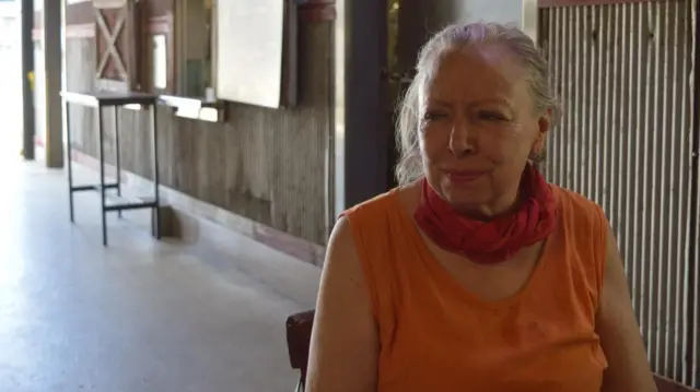 Colleen Houlihan ủng hộ các chính sách của El-Sayed, nhưng bà đang nghiêng về việc bỏ phiếu cho Stevens vì cho rằng Stevens có nhiều khả năng đánh bại ứng viên của Đảng Cộng hòa hơn trong cuộc bầu cử