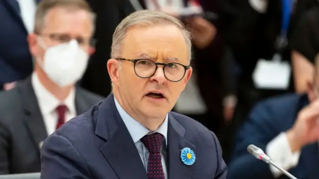 اینتھونی البانی