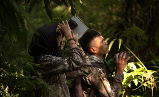 Rahayu Oktaviani, owa Jawa