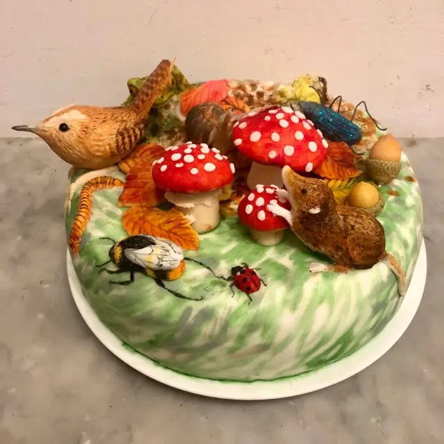 ብዙሕነት ህይወት ዘመልክት ኬክ ብሊዛ ኣዳምቸቭስኪ