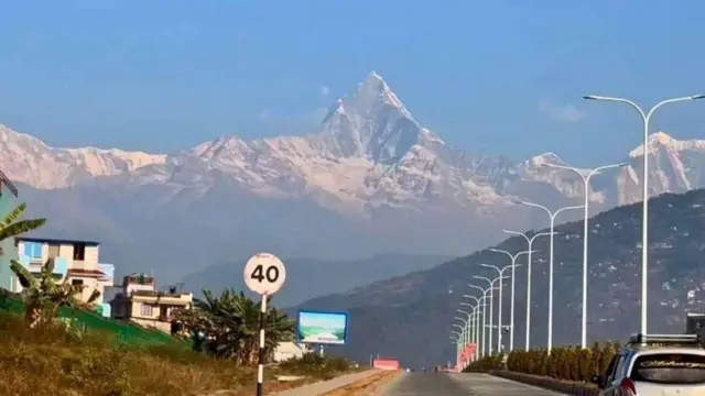 ఫిష్ టెయిల్