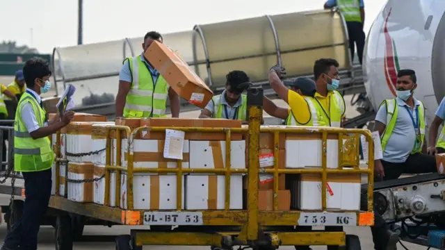 ගුවන් යානයකින් භාණ්ඩ බැහැර කරන සේවකයින් පිරිසක් ඡායාරූපයේ දැක්වේ.