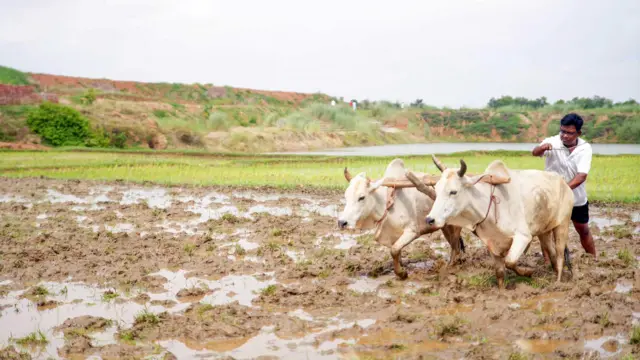 Gujarat Weather Update: કેટલા દિવસ માવઠાની આગાહી? ક્યારે બદલાશે હવામાન?