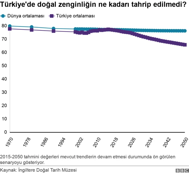 türkiye doğal zenginliği