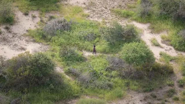 Daa'imni bade yeroo bosona keessa deemaa jiru