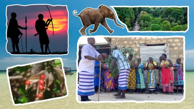 Adamoo, arba, bosona, shubbisa aadaa, firii mturi mturi