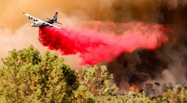 캘리포니아 주지사 개빈 뉴섬은 극심한 무더위를 '최악의 날씨 살인'이라고 표현했다