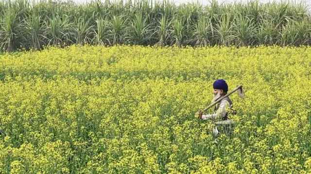 ప్రతీకాత్మక చిత్రం