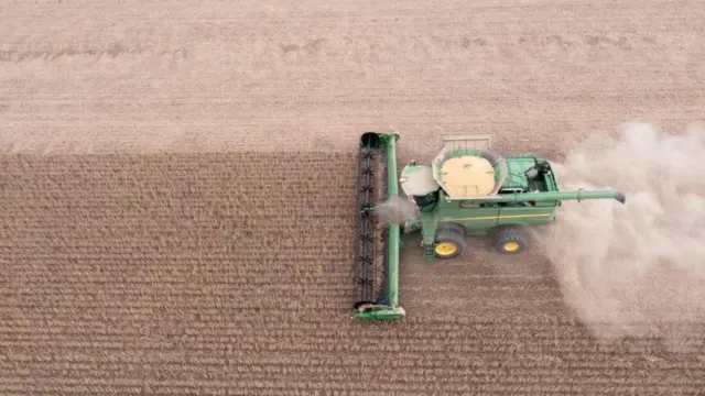 సోయాబీన్, దిగుమతి, బ్రెజిల్, అర్జెంటీనా