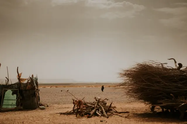 Pour des spécialistes de l’océan, il est possible de quitter les côtes ouest-africaines pour naviguer jusqu’au Brésil...