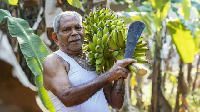 கேரளா, மக்கள் தொகை