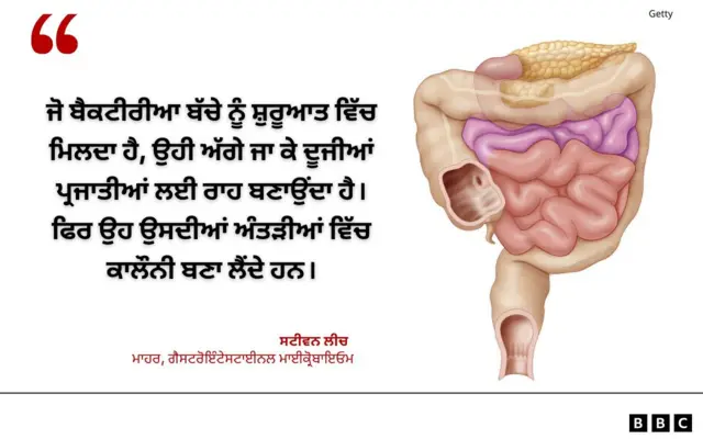 ਅੰਤੜੀਆਂ