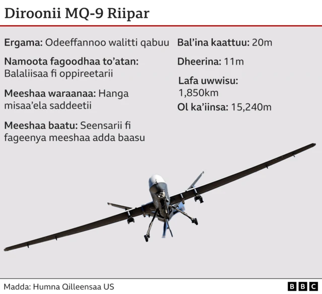 Kaattuun diroonii Ameerikaa MQ-9 Riipar jedhamu 20m dheerata
