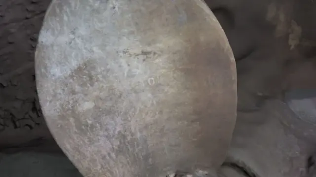 એક પ્રોપેલર્સ પરનો સિરિયલ નંબર જોવા મળ્યો