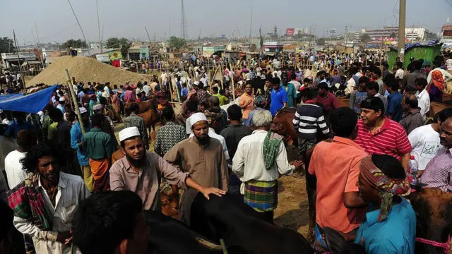 কোরবানির পশুর এমন বহু হাট বসে ঈদের সময়ে
