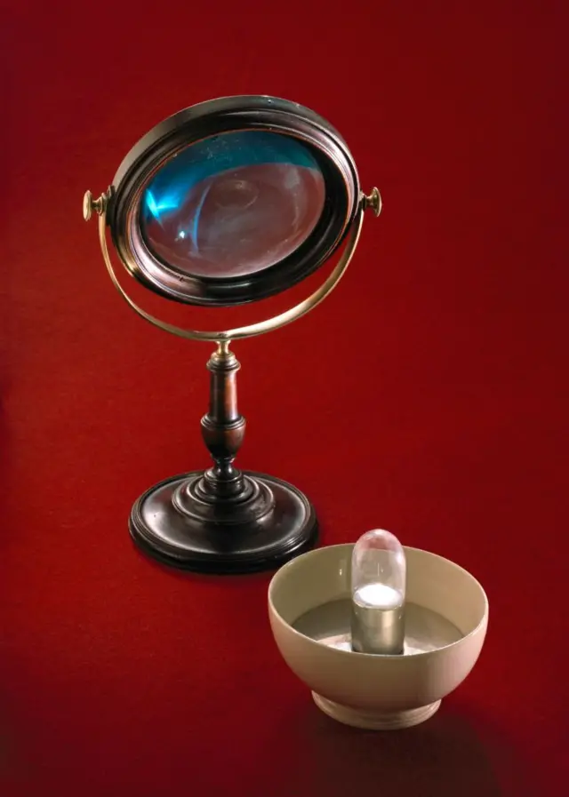 Una lupa y un cuenco.
