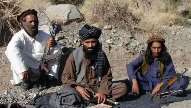 তালেবান