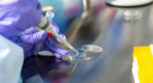 யுக்ரேன் படையினர் இலவசமாக தங்களின் விந்தணுக்களை உறைநிலையில் வைப்பதற்கான வழிவகை செய்யப்பட்டுள்ளது