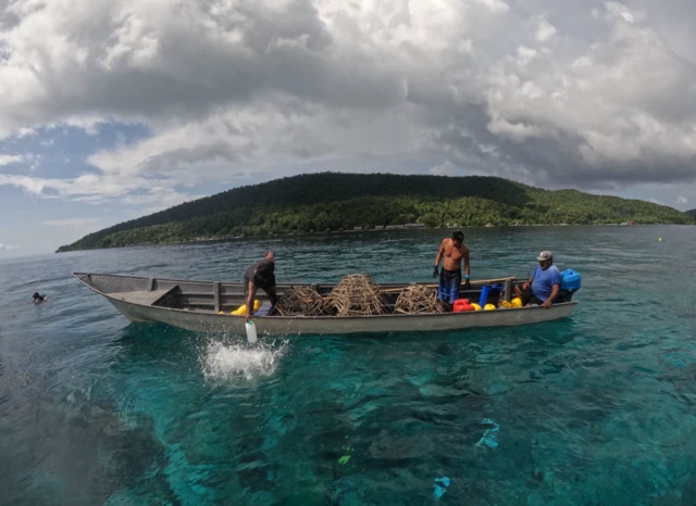 Caledonian sky,raja ampat, terumbu karang