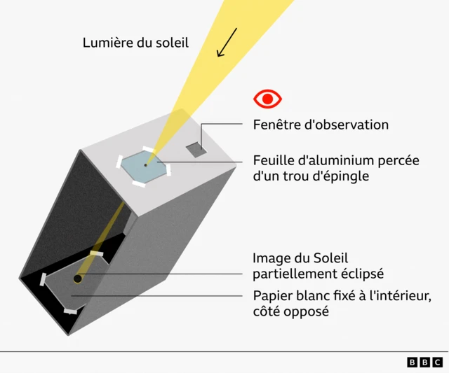 Illustration d'un projecteur à sténopé de type boîte permettant d'observer une éclipse en toute sécurité. Une boîte en carton est représentée en coupe transversale. Un faisceau jaune, étiqueté « Lumière du soleil », pénètre par le trou d'épingle pratiqué dans une feuille d'aluminium fixée sur le dessus de la boîte. À l'intérieur, la lumière projette l'image d'un soleil partiellement éclipsé sur une feuille de papier blanc fixée à la paroi intérieure opposée. Une fenêtre d'observation découpée dans le dessus de la boîte permet à l'observateur de voir l'image projetée.