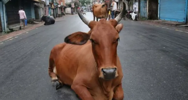 காங்கிரஸ், பாஜக